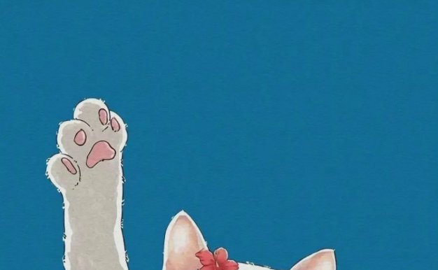 2023高清猫咪动漫壁纸